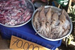 Mực “lạ” giá rẻ đến từ đâu?